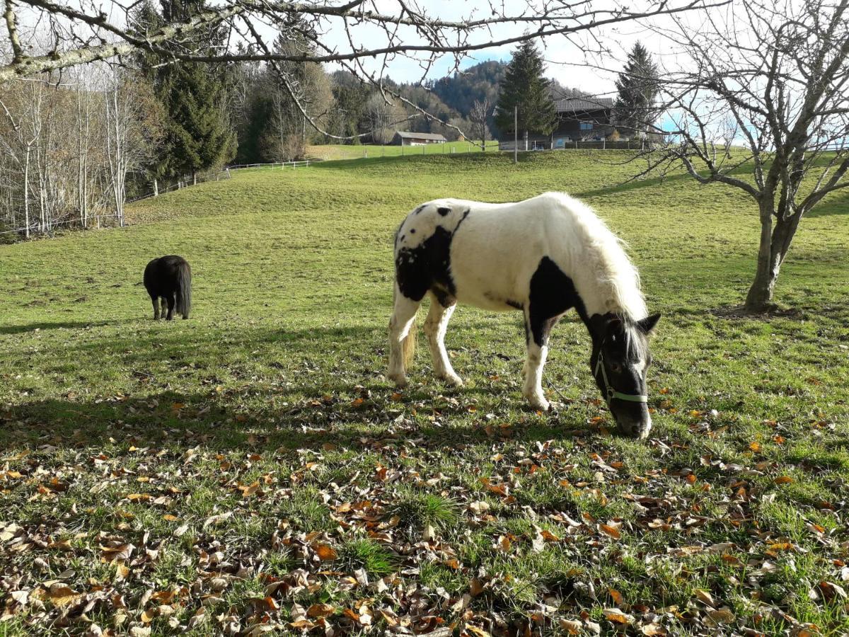 Haus Hagspiel Villa Hittisau Bagian luar foto